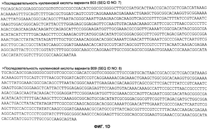 Нелипидизированные варианты антигенов neisseria meningitidis orf2086 (патент 2546873)