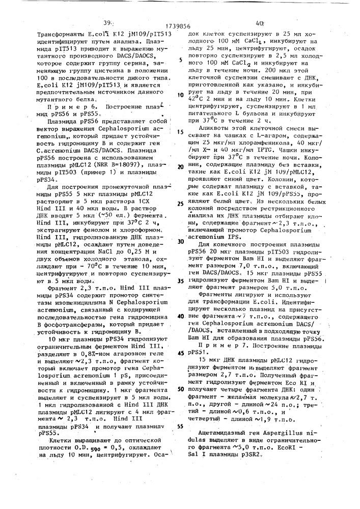 Способ конструирования рекомбинантной плазмидной днк, кодирующей фермент деацетоксицефалоспорин с синтетазу/деацетилцефалоспорин с синтетазу (патент 1739856)