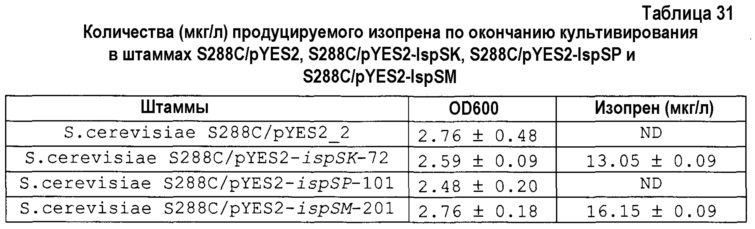 Изопренсинтаза и кодирующий ее ген, способ получения мономера изопрена (патент 2612916)