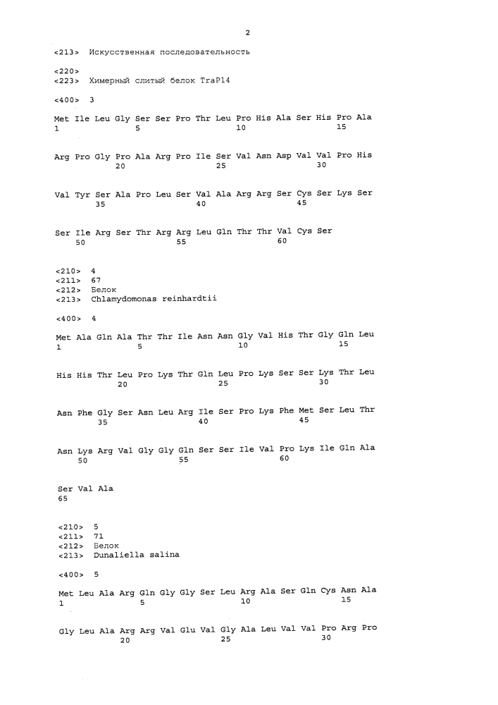 Транзитный пептид хлоропластов (патент 2636036)