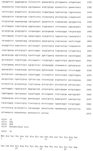 Рекомбинантный штамм бактерий escherichia coli - продуцент янтарной кислоты (варианты) и способ получения янтарной кислоты с использованием этого штамма (патент 2528056)