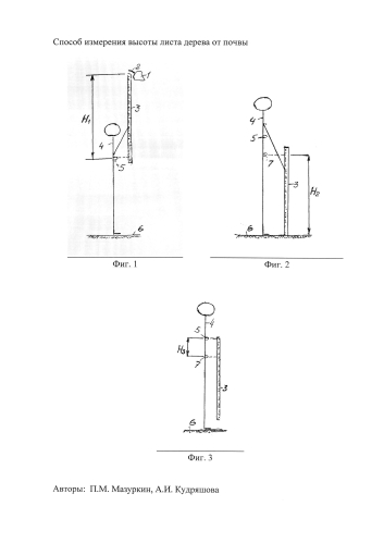 Способ измерения высоты листа дерева от почвы (патент 2589487)