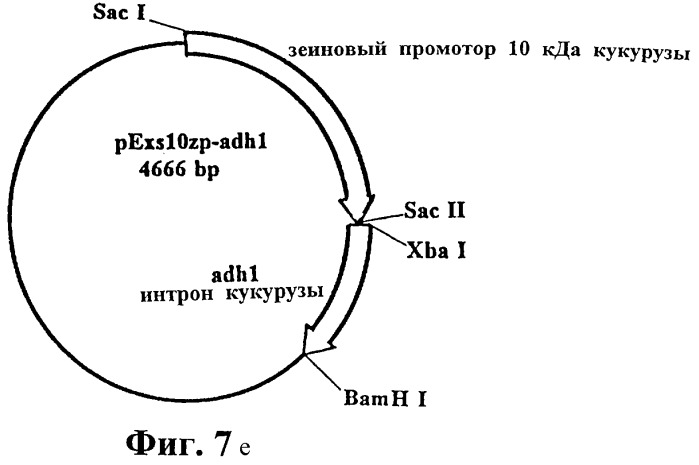 Инкапсулирование полипептидов в матрицу крахмала (патент 2268301)