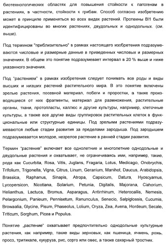 Способ повышения стойкости к стрессовым факторам в растениях (патент 2375452)