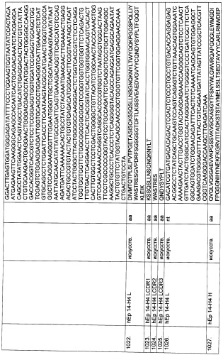 Pscaxcd3, cd19xcd3, c-metxcd3, эндосиалинxcd3, epcamxcd3, igf-1rxcd3 или fap-альфаxcd3 биспецифическое одноцепочечное антитело с межвидовой специфичностью (патент 2547600)