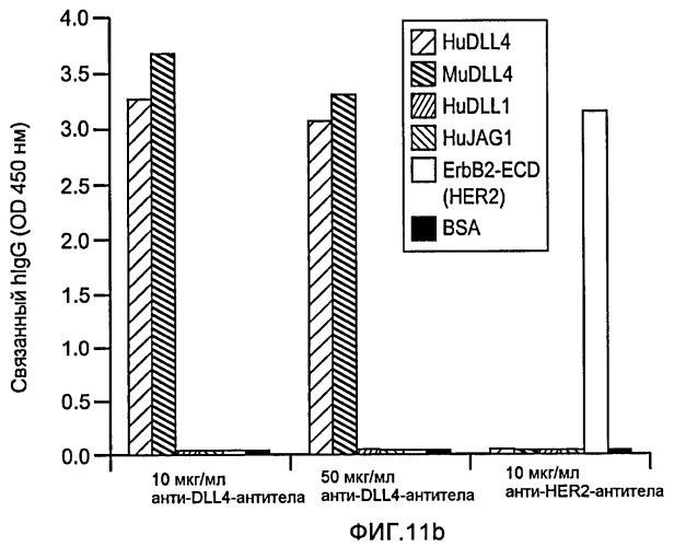 Антитела против dll4 и способы их применения (патент 2415869)