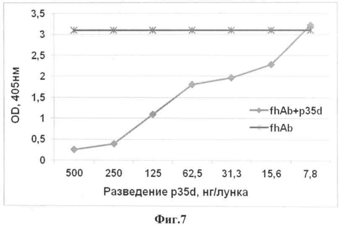 Рекомбинантная плазмидная днк pqe-p35d, обеспечивающая синтез рекомбинантного белка p35d вируса оспы коров, штамм бактерий escherichia coli - продуцент рекомбинантного белка p35d вируса оспы коров и рекомбинантный белок p35d вируса оспы коров, используемый для создания тест-систем и конструирования субъединичных вакцин против ортопоксвирусных инфекций (патент 2511037)