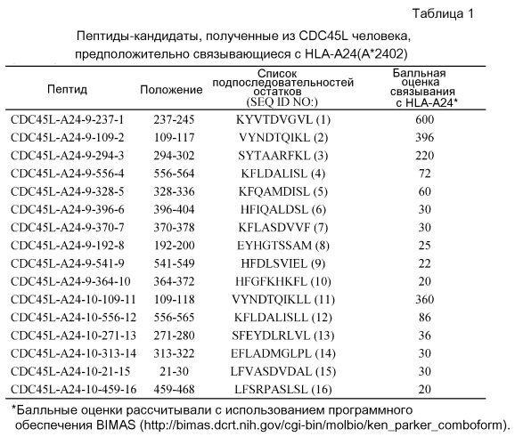 Пептиды cdc45l и вакцины, включающие таковые (патент 2562160)