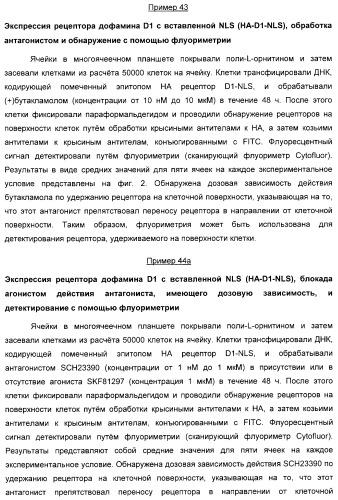 Способ идентификации соединений, взаимодействующих с трансмембранными белками (патент 2326166)