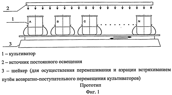 Способ культивирования фототрофов и установка для его осуществления (патент 2450049)