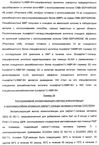 Выделенный полипептид, связывающий рецептор zalpha11-лиганда (варианты), кодирующий его полинуклеотид (варианты), вектор экспрессии (варианты) и клетка-хозяин (варианты) (патент 2346951)