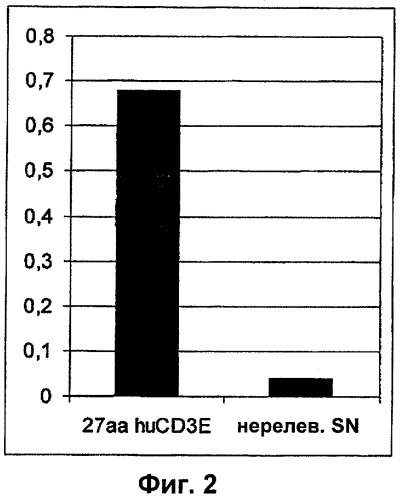 Биспецифические связывающие агенты с межвидовой специфичностью (патент 2535992)