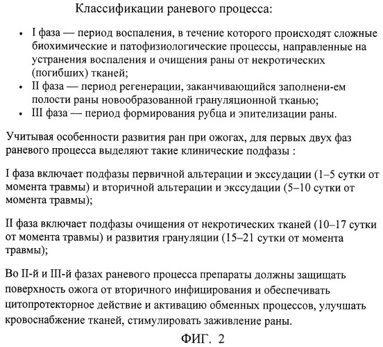 Способ и система определения площади и степени поражения пациента и оказания первой помощи при ожогах посредством видимого спектра света и ультразвука (патент 2459574)