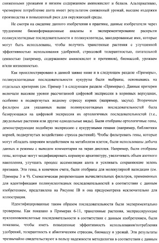 Изолированные полипептиды, кодирующие их полинуклеотиды, экспрессирующие их трансгенные растения и способы их использования (патент 2487166)