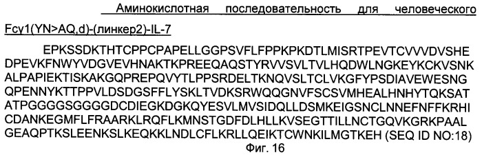 Варианты il-7 со сниженной иммуногенностью (патент 2437893)