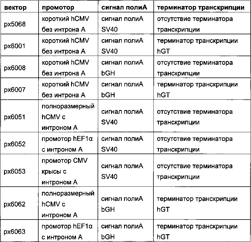 Строение экспрессионного вектора, новые способы получения клеток-продуцентов и их применение для рекомбинантного получения полипептидов (патент 2628703)