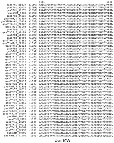 Мутантные антигены gas57 и антитела против gas57 (патент 2471497)