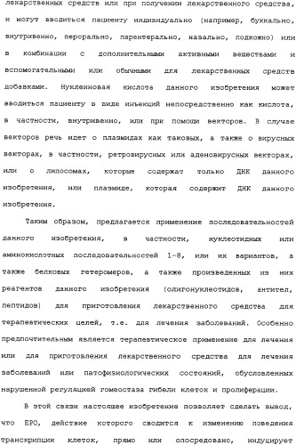 Ее3-семейство белков и соответствующие днк-последовательности (патент 2333918)