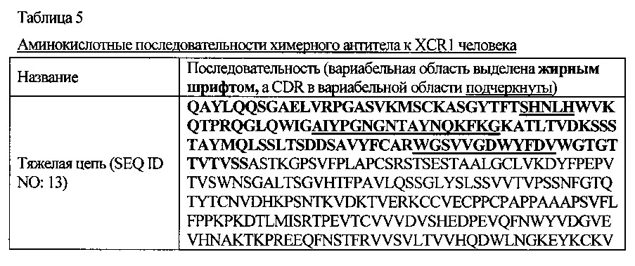 Антитела к xcr1 человека (патент 2619180)