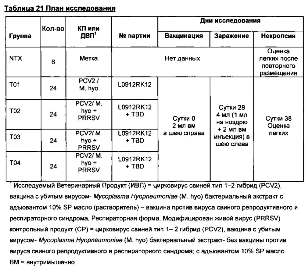 Комбинированная вакцина pcv/mycoplasma hyopneumoniae/prrs (pcv/mycoplasma hyopneumoniae/prrs combination vaccine) (патент 2644256)