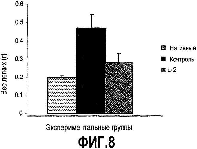 Иммуномодулирующие и противоопухолевые пептиды (патент 2430109)