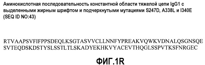 Антитела против альфа5-бета 1 и их применение (патент 2528736)