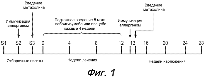 Способы диагностики и лечения, связанные с ингибированием th2 (патент 2578468)