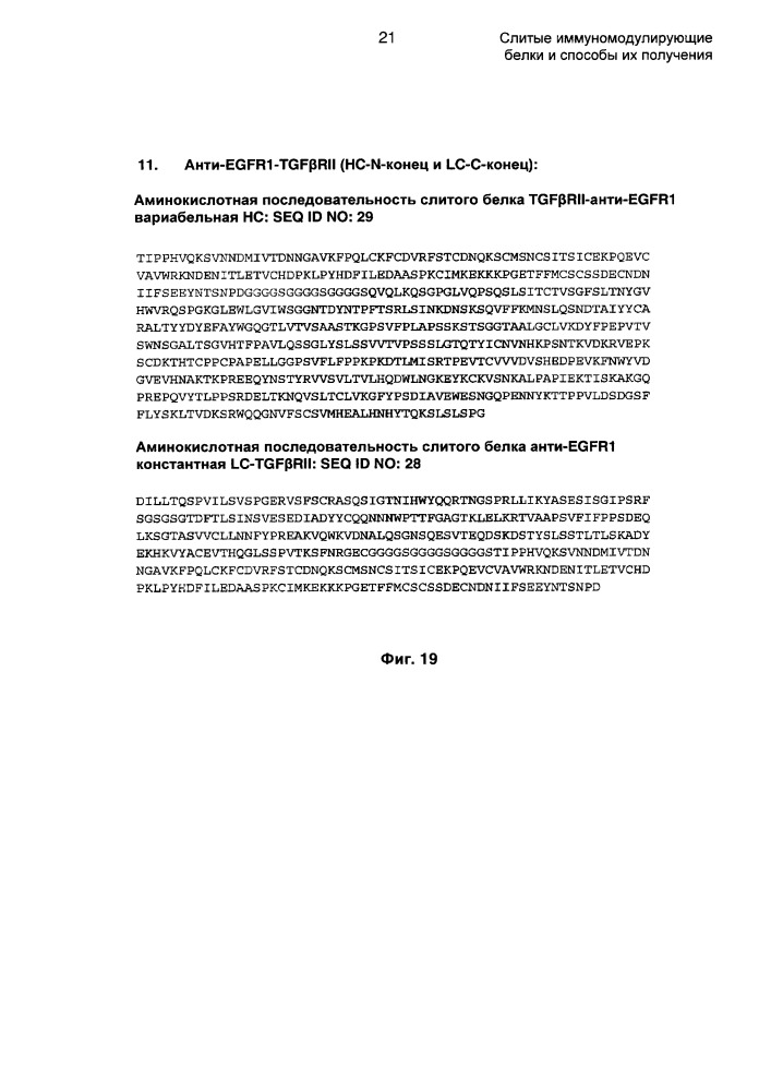 Слитые иммуномодулирующие белки и способы их получения (патент 2662991)