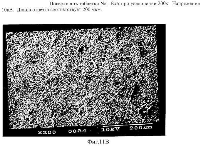 Матрица, обеспечивающая пролонгированное, инвариантное и независимое высвобождение активных соединений (патент 2297225)