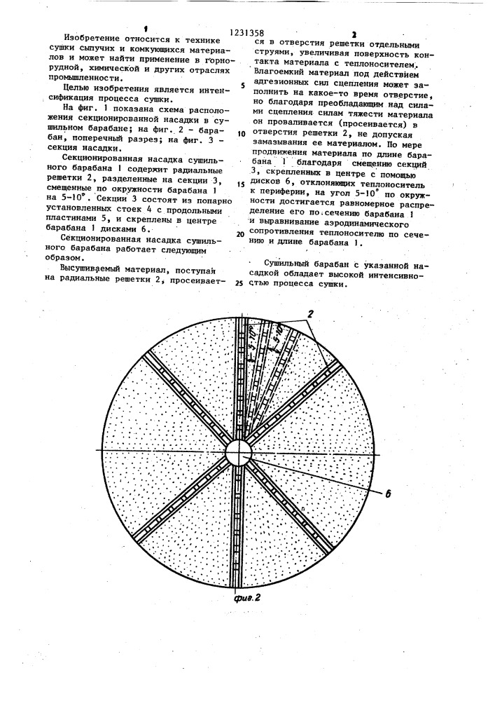 Секционированная насадка сушильного барабана (патент 1231358)