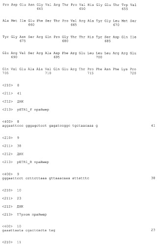 Рекомбинантная плазмида psvh0106, обеспечивающая синтез gl7aca-ацилазы в клетках escherichia coli, и рекомбинантный штамм escherichia coli bl21(de3)/psvh0106-продуцент gl7aca-ацилазы (патент 2300566)