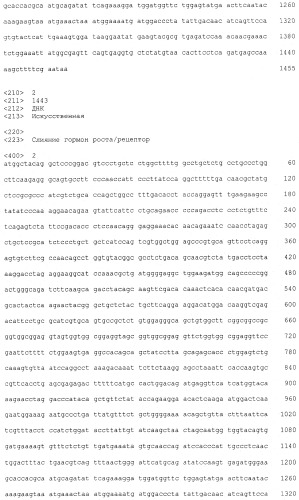 Слитые белки гормона роста (патент 2473554)
