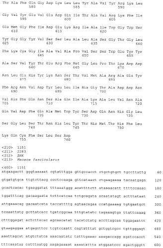 Pscaxcd3, cd19xcd3, c-metxcd3, эндосиалинxcd3, epcamxcd3, igf-1rxcd3 или fap-альфаxcd3 биспецифическое одноцепочечное антитело с межвидовой специфичностью (патент 2547600)