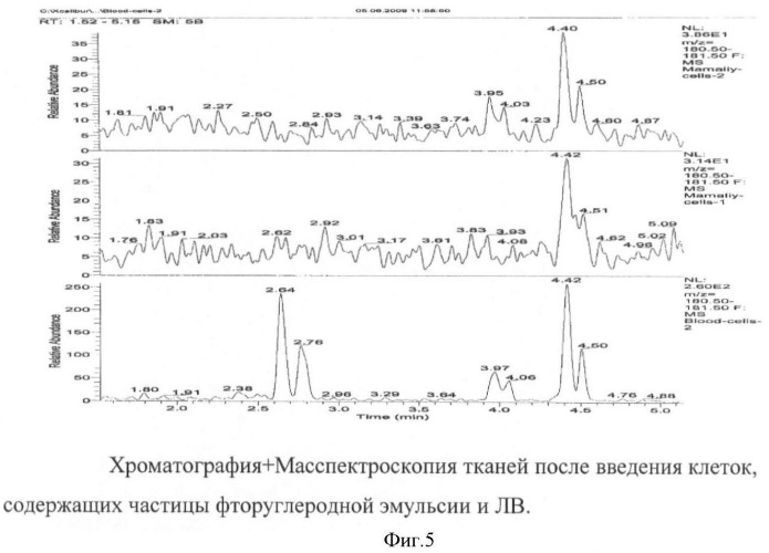 Способ направленного транспорта биологически активных веществ и применение стволовых клеток для их направленного транспорта (патент 2426785)