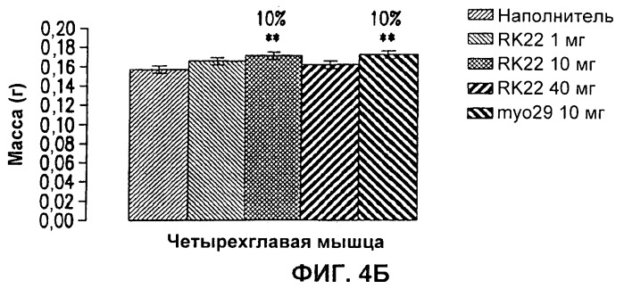 Антитела к gdf8 и их применения (патент 2447084)