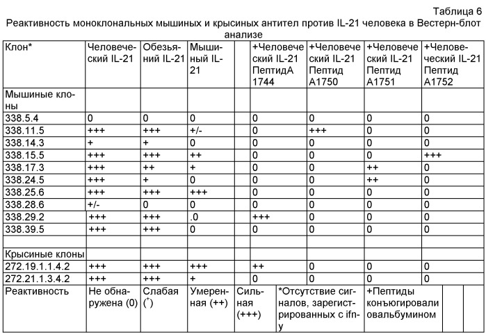 Моноклональные антитела против il-21 человека (патент 2504552)