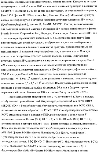 Поливалентные иммуногенные композиции pcv2 и способы получения таких композиций (патент 2488407)