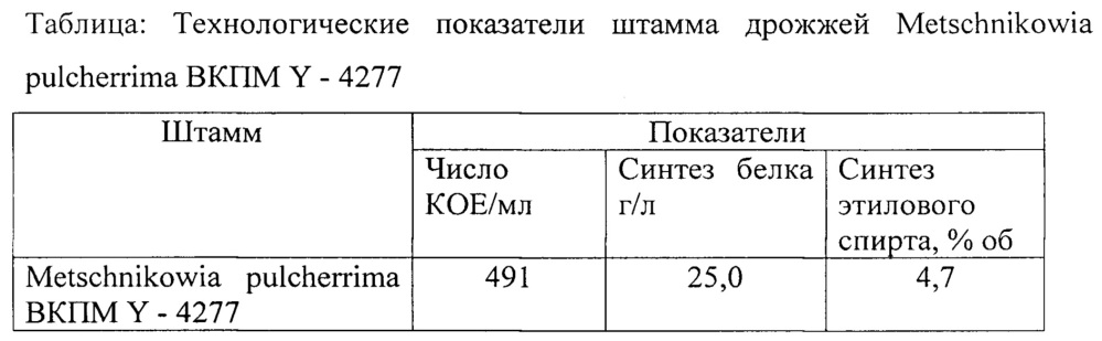 Штамм metchnikowia pulcherrima вкпм y-4277 - продуцент этилового спирта (патент 2662966)