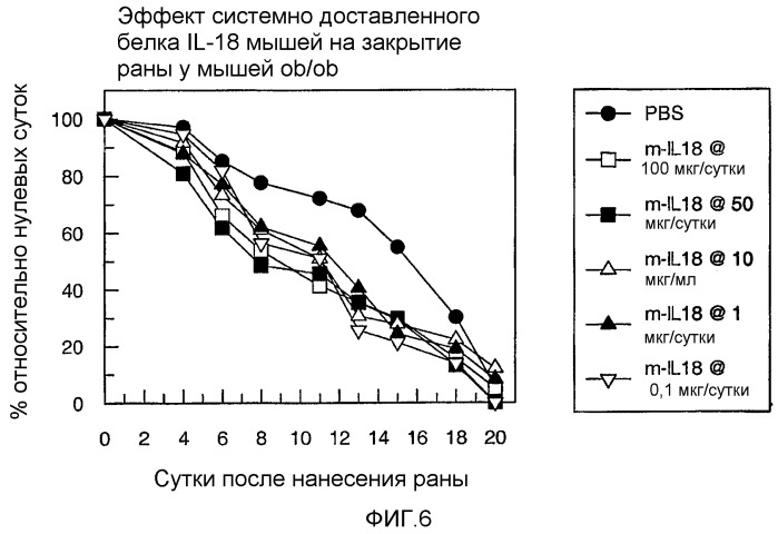 Способы заживления ран введением il-18 человека (патент 2387455)