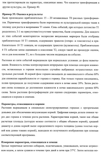 Растения, имеющие улучшенные характеристики роста, и способы их получения (патент 2463352)