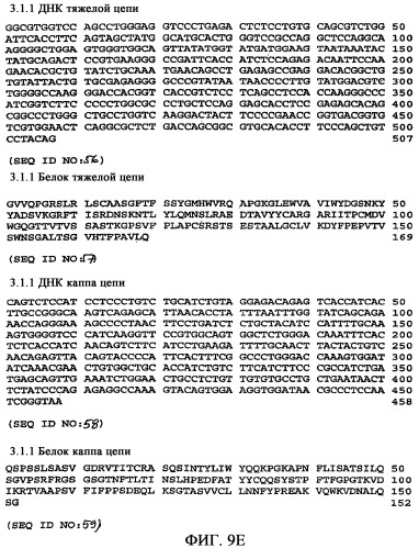 Применение антител к ctla-4 (патент 2346702)