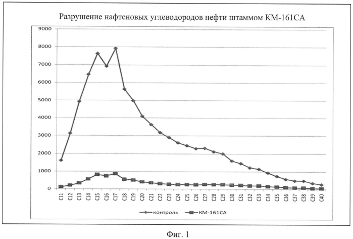 Штамм pseudomonas azotoformans для очистки морских водоемов и прибрежной зоны морских объектов от нефти в условиях высоких широт (патент 2553338)