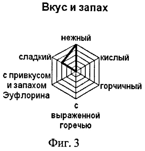 Способ получения биосоуса десертного (патент 2416341)