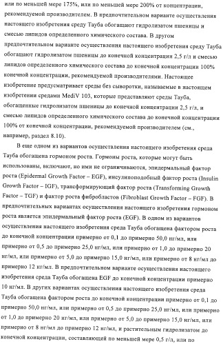 Линии клеток почки собаки майдин-дэрби (mdck), поддерживающие рост вирусов до высоких титров, и способ применения этих клеток в биореакторе (патент 2487935)
