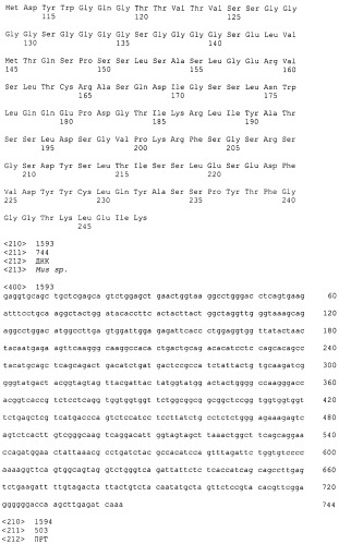 Pscaxcd3, cd19xcd3, c-metxcd3, эндосиалинxcd3, epcamxcd3, igf-1rxcd3 или fap-альфаxcd3 биспецифическое одноцепочечное антитело с межвидовой специфичностью (патент 2547600)