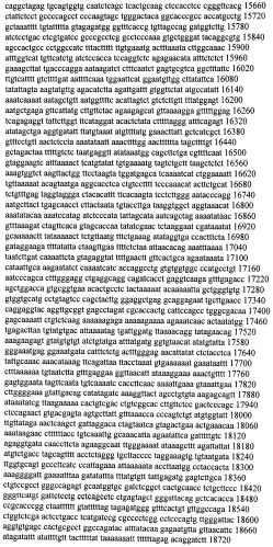 Модуляция экспрессии гентингтина (патент 2562861)