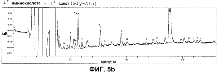 Внеклеточная гиалуронидаза из streptomyces koganeiensis (патент 2553205)