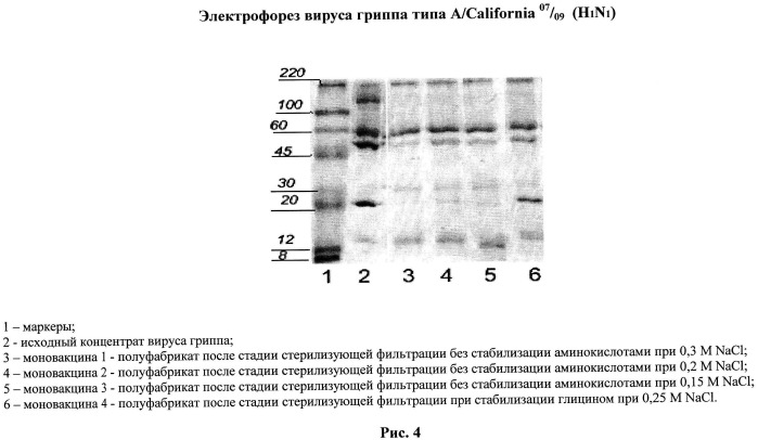 Вакцина против гриппа и способ ее получения (патент 2523614)