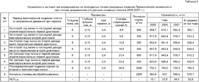 Способ возделывания многолетних мятликовых трав, преимущественно на осолоделых почвах природных лиманов прикаспийской низменности (патент 2374806)