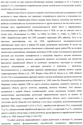 Антитело, содержащее fc-вариантную часть (варианты), фармацевтическая композиция, содержащая антитело, и способ лечения млекопитающего (патент 2325186)